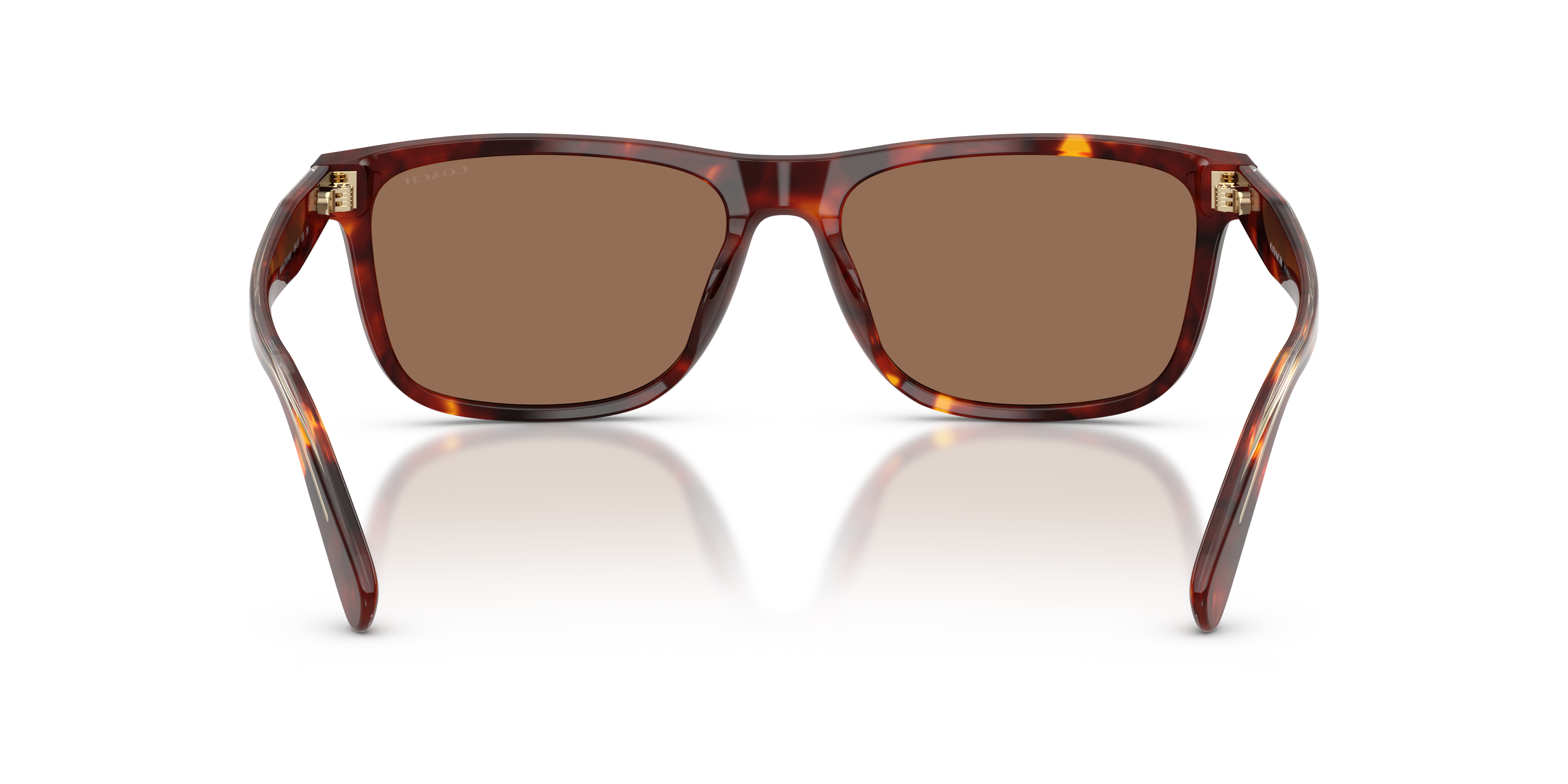 Coach HC8454U 593813 Cdp55 